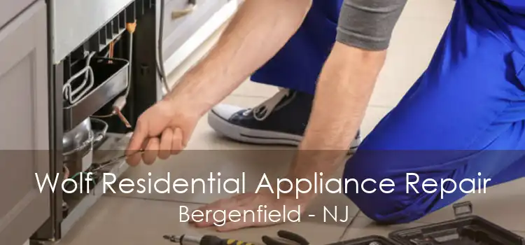 Wolf Residential Appliance Repair Bergenfield - NJ