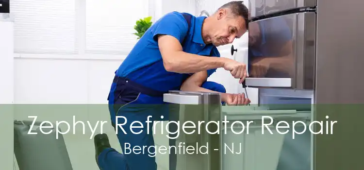 Zephyr Refrigerator Repair Bergenfield - NJ
