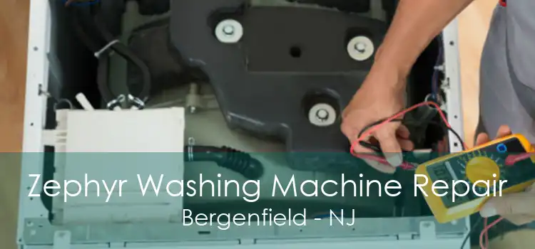 Zephyr Washing Machine Repair Bergenfield - NJ